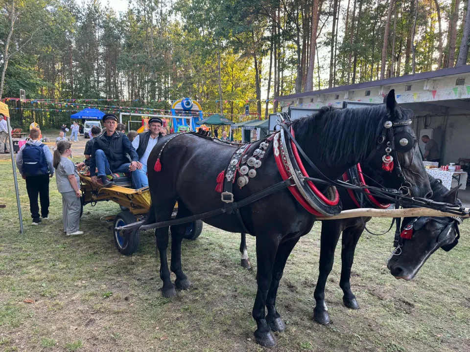 W Jaźwinach wrócili do dawnych zwyczajów. Było darcie pierza, kiszenie kapusty i wspólna zabawa